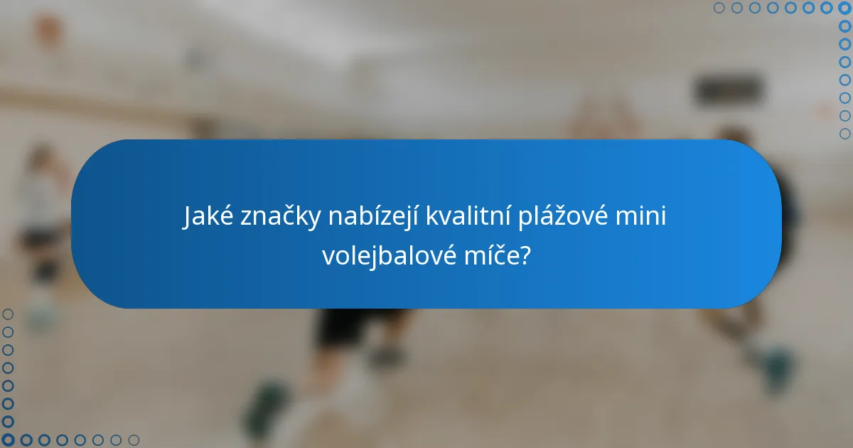 Jaké značky nabízejí kvalitní plážové mini volejbalové míče?