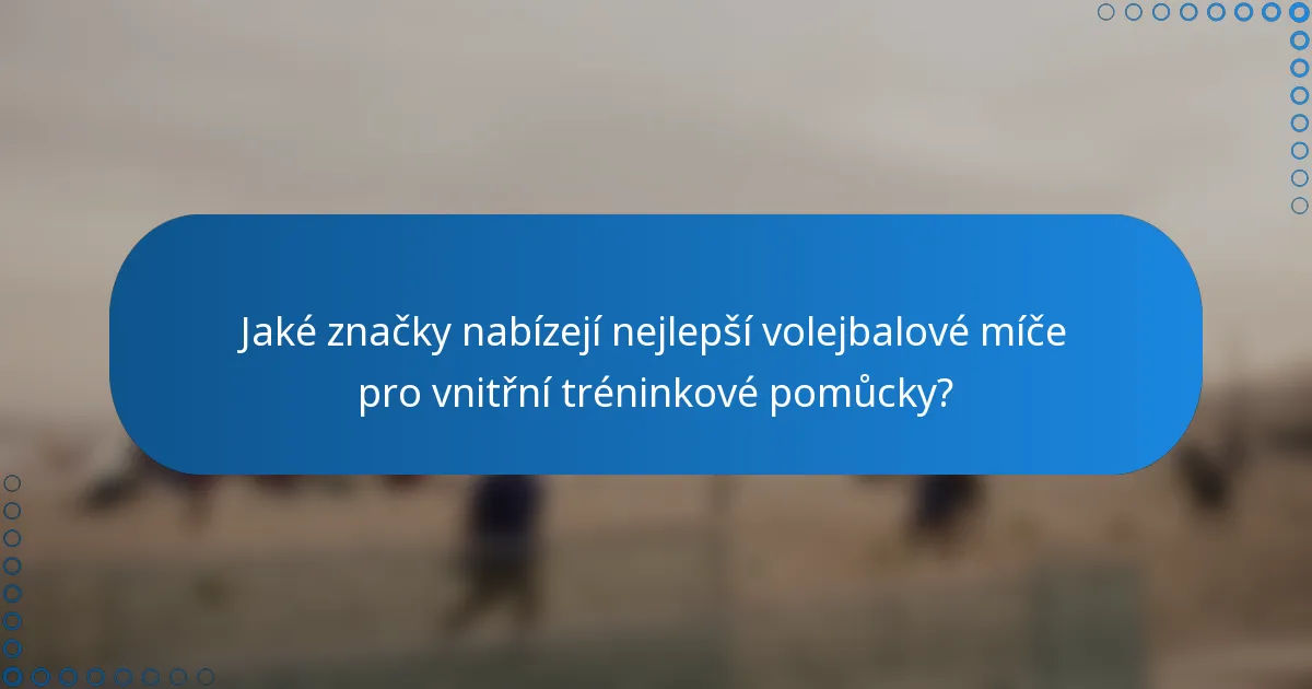 Jaké značky nabízejí nejlepší volejbalové míče pro vnitřní tréninkové pomůcky?